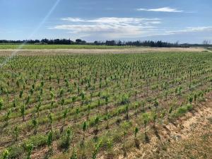 Gîte Le Galus au cœur de nos vignes bio