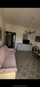 Al 205 img22
