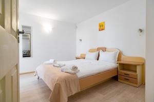 Complex Paloma Coral