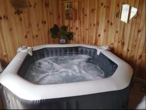 Maisons de vacances Maison calme avec jacuzzi privatif : photos des chambres