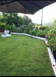 APARTMENTS DIMITRA
