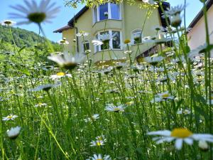 Riverside Villa Avo - Apartment Sara