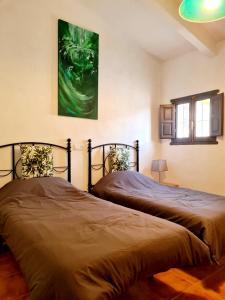 Casa Tropical, serene poolside retreat in nature