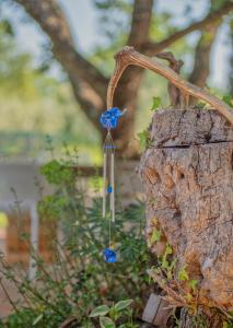 Studio APP Luka-We love nature.