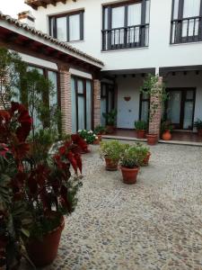 Apartamentos La Barataria especial WARNER