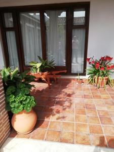 Apartamentos La Barataria especial WARNER