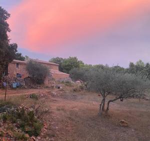 Sejours a la campagne La Chevaliere Sauvage : photos des chambres