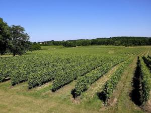 Maisons de vacances Ferme au Chateau Le Noble - proche St Emilion : Maison 3 Chambres