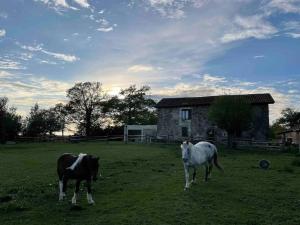 Maisons de vacances Maison campagne/Lac, 8 personnes : photos des chambres