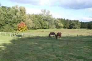 Maisons de vacances Gite MOULIN DU CROS 4 , 6 personnes : photos des chambres