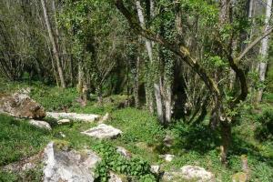 Maisons de vacances Gite MOULIN DU CROS 4 , 6 personnes : photos des chambres