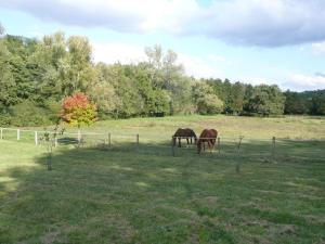 Maisons de vacances Gite MOULIN DU CROS 4 , 6 personnes : photos des chambres