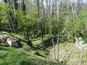 Maisons de vacances Gite MOULIN DU CROS 4 , 6 personnes : photos des chambres