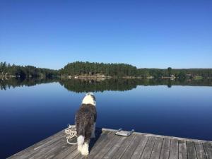 Egen Ö med unik upplevelse