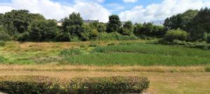 Appartements Appartement au calme nature et centre ville : photos des chambres