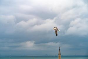 Miss Royal Hotel & SPA