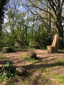 Appartements Appartement au calme nature et centre ville : photos des chambres