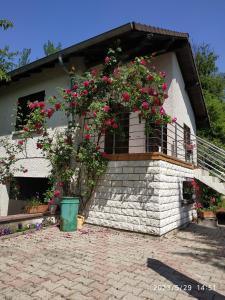 Chalets Maison de vacances Diff : photos des chambres