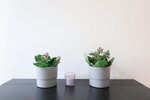 RomeCentro 5minuti dalla stazione