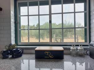 Monte na Barragem de Montargil com piscina