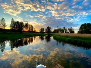 Krutynia Adventure - Rosocha