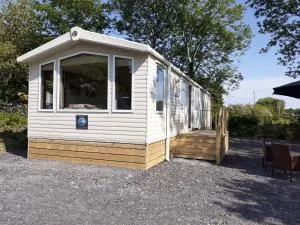 Swifts Nest - Carnguwch