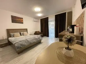 Garsoniera la Mare - 旧瓦马