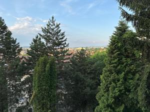 Central Luxury Apartment with City View