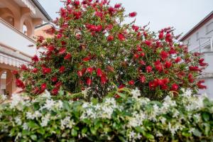 Apartmani Marica Beg