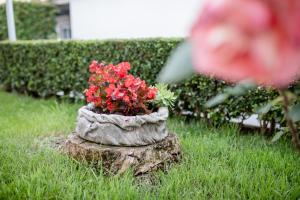 Apartmani Marica Beg