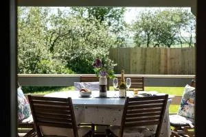 Safari Cornwall - Saint Mabyn