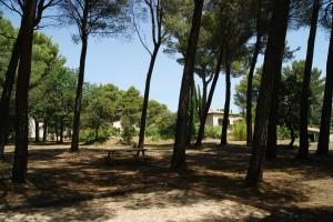 B&B / Chambres d'hotes Les Mazets du Luberon : photos des chambres