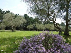 B&B / Chambres d'hotes Les Mazets du Luberon : photos des chambres