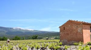 Maisons de vacances Chez Prunelle : photos des chambres