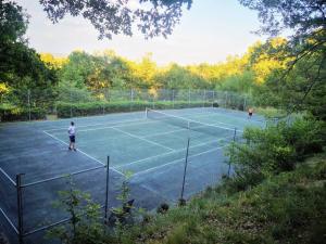 Maisons de vacances Grand Jas provencal avec tennis et piscine prives : photos des chambres