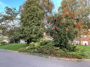 Double Bedroom with a balcony & ensuite bathroom and a new quality mattress in London Canary Wharf with direct train from Heathrow, also convenient from Stansted and Gatwick airport, 10 minutes to London City Airport and Excel, 16 minutes to Westmins