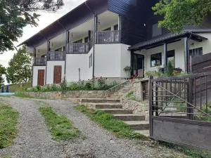 Pensiunea Sara pe deal - Gura Hangului