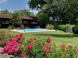 Maisons de vacances Les Ailes du Temps : photos des chambres