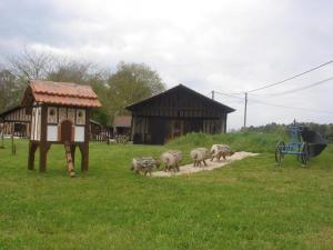 Maisons de vacances Lo bonur es dens lo prat : photos des chambres