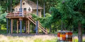 Treehouse U lesa - Roveň