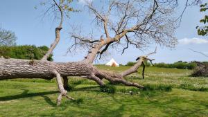 Cosy Farmhouse Glamping