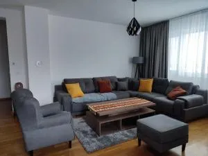 وردة اليجا - 伊利扎