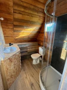 Chalets Chalet en A de la Motte-Fanjas : photos des chambres