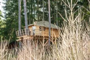 Treehouse U rybníka - Roveň