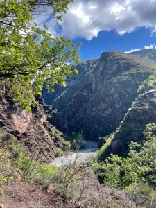 Appartements Gite de la Mairie Auberge des Gorges de Daluis : photos des chambres