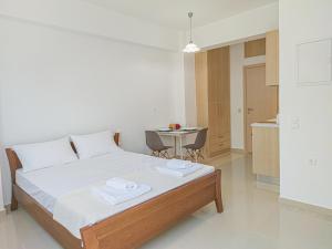 Fully renovated Studio in Platanias