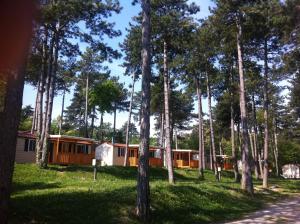 Mobile Home room in Camping Village Mare Pineta