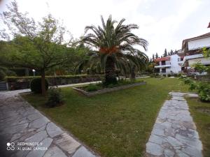 Lalas apartment in Polychrono