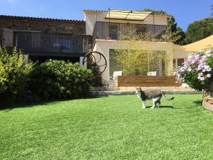 Domaine du Mas de Peyres