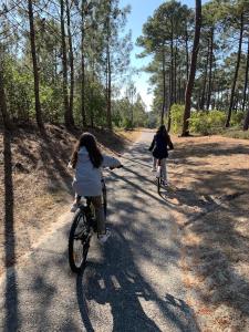 Maisons de vacances Maison bois dans la foret de Carcans-plage : photos des chambres